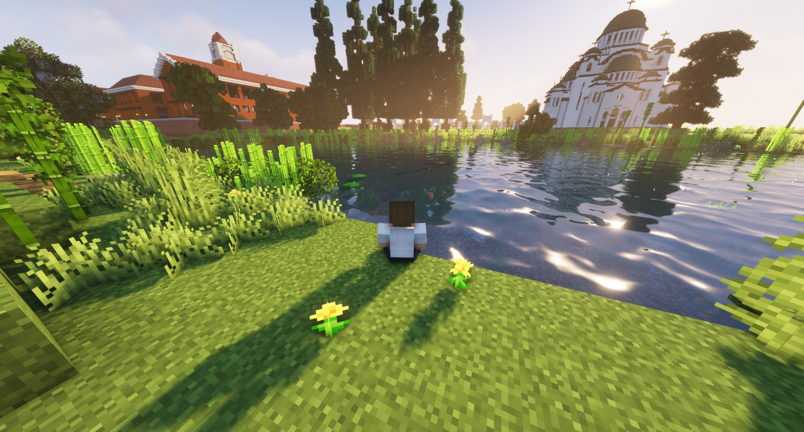 Feature Image
